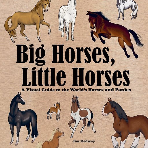 Big Horses, Little Horses: A Visual Guide to the World's Horses and Ponies