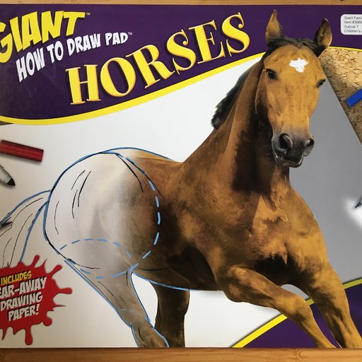 Giant：How to Draw Pad: Horses