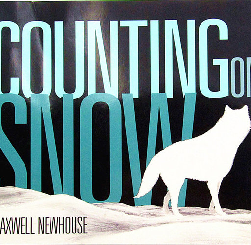 Counting on Snow