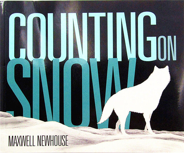 Counting on Snow