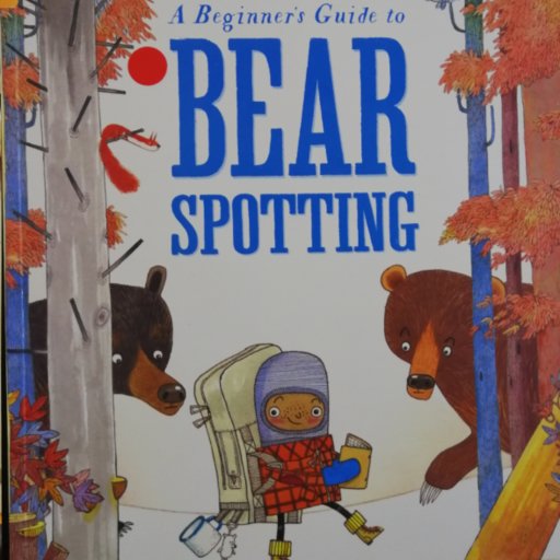 A beginner's guide to bear spotting