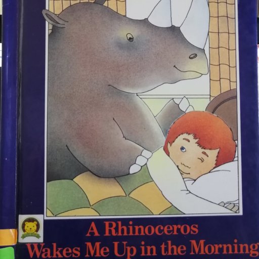 A rhinoceros wakes me up in the morning: A bedtime tale