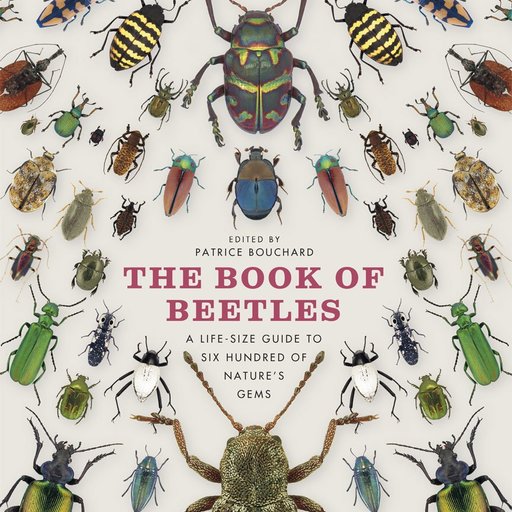 The Book of Beetles: A Life-size Guide to Six Hundred of Nature's Gems