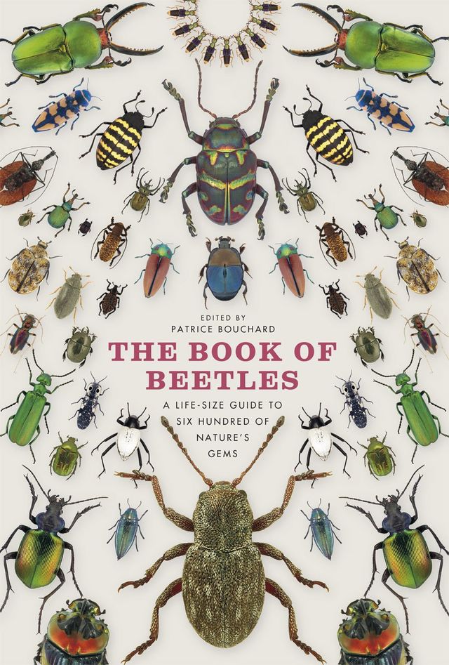 The Book of Beetles: A Life-size Guide to Six Hundred of Nature's Gems