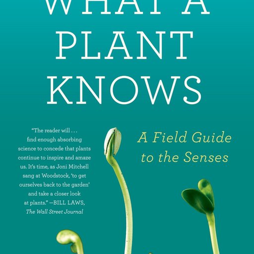 What a Plant Knows: A Field Guide to the Senses