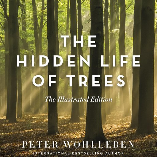 The Hidden Life of Trees: The Illustrated Edition