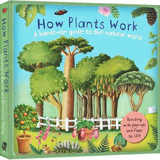 How Plants Work