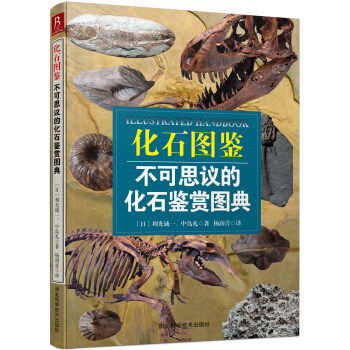化石图鉴：不可思议的化石鉴赏图典