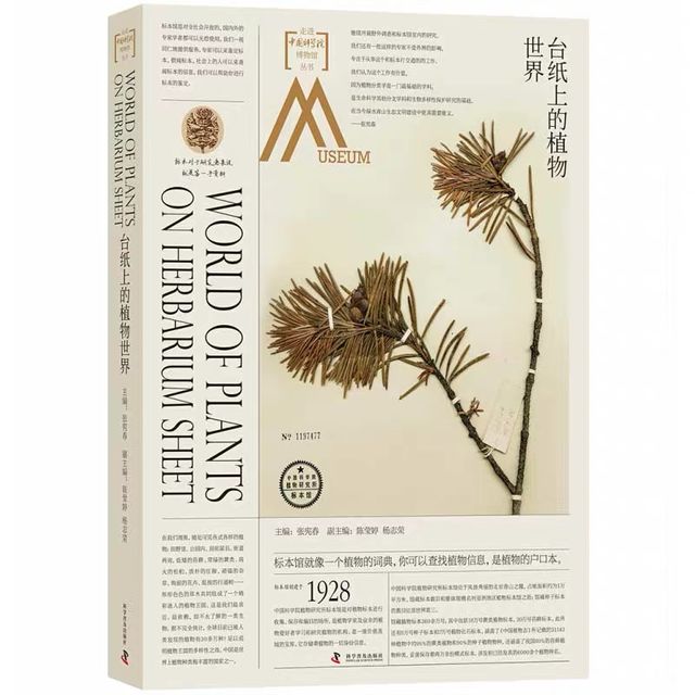 走进中国科学院博物馆：台纸上的植物世界