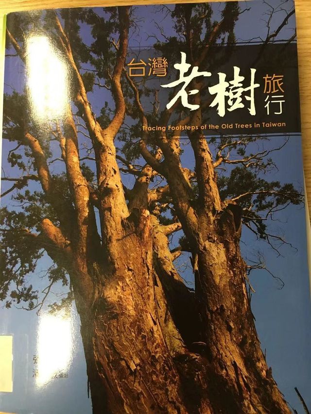 台湾老树旅行
