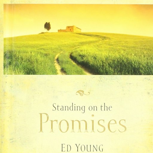 Standing on the Promises- 365 Days of Inspirational Thoughts