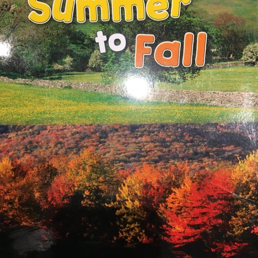 Summer to Fall