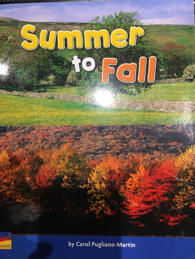 Summer to Fall