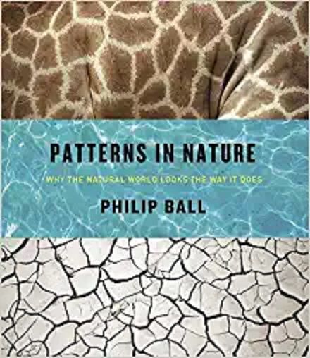 Patterns in Nature: Why the Natural World Looks the Way It Does