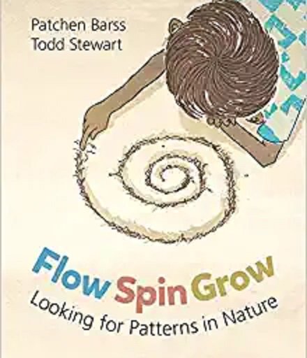 Flow, Spin, Grow: Looking for Patterns in Nature