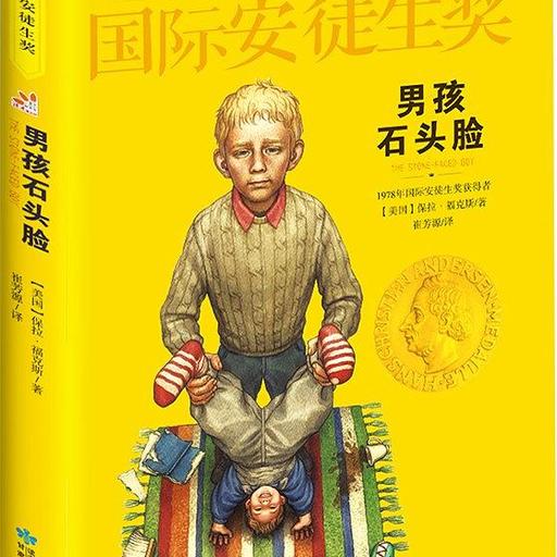 男孩石头脸 儿童文学大奖