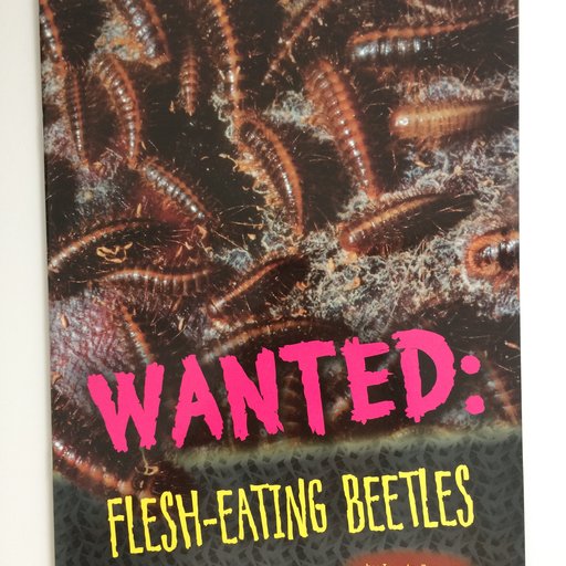 Wanted: Flesh-Eating Beetles