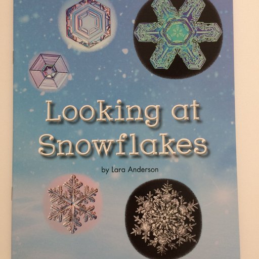 Looking At Snowflakes