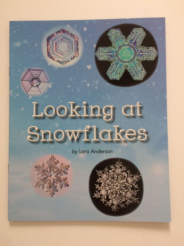 Looking At Snowflakes