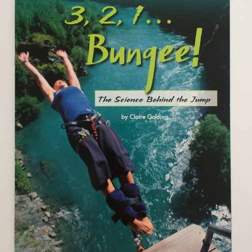 3,2,1...Bungee! The Science Behind the Jump