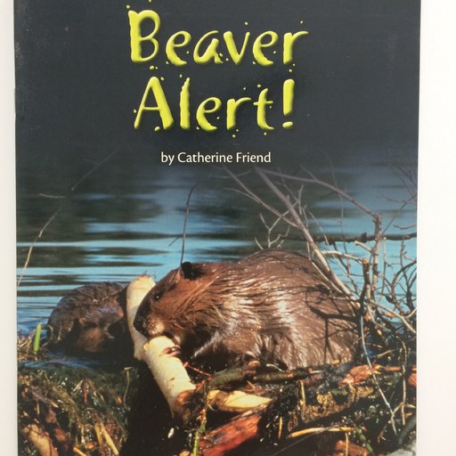 Beaver Alert!