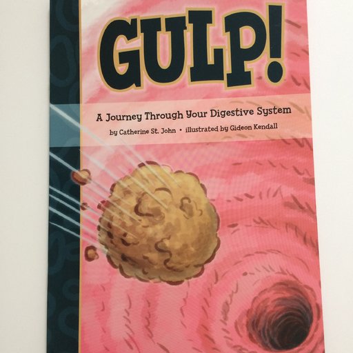 GULP!: A Journey Throught Your Digestive System
