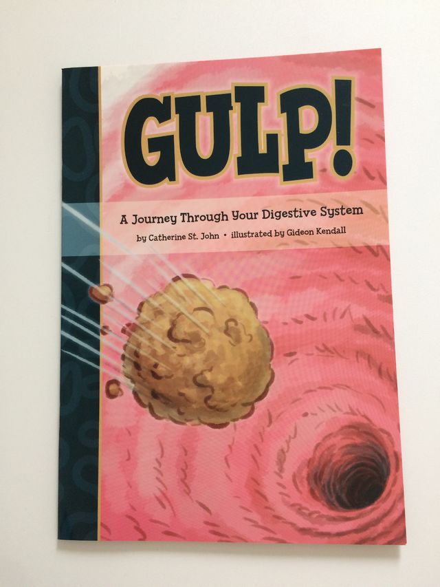 GULP!: A Journey Throught Your Digestive System