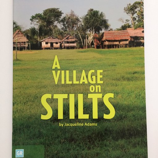 A Village On Stilts
