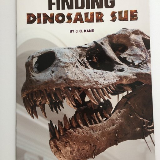 Finding Dinosaur Sue