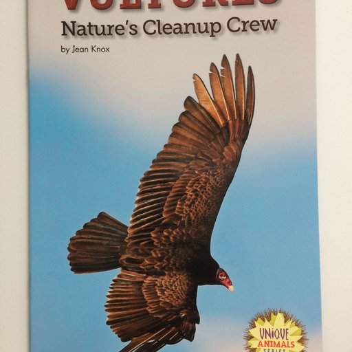Vultures:Nature's Cleanup Crew