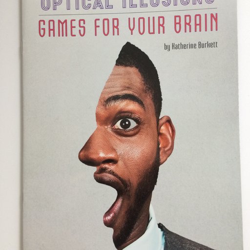 Optical Illusions: Games for Your Brain