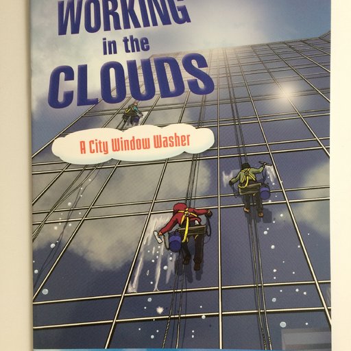 Working in the Clouds: A City Window Washer