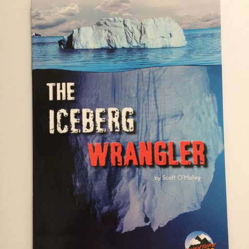The Iceberg Wrangler