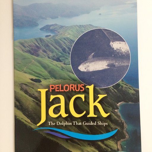 Pelorus Jack: The Dolphin That Guided Ships