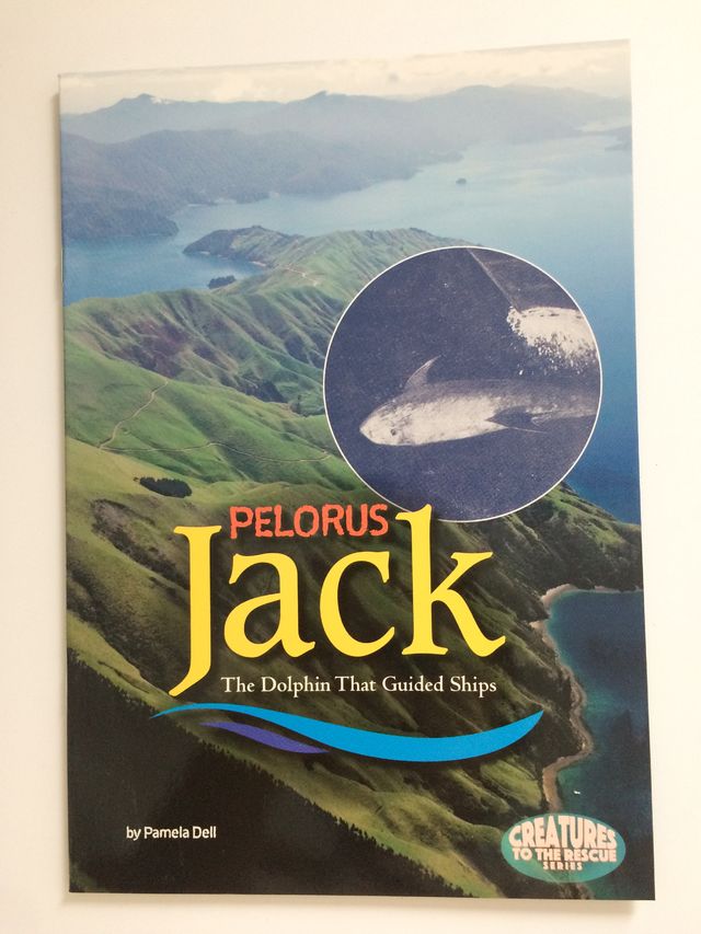 Pelorus Jack: The Dolphin That Guided Ships