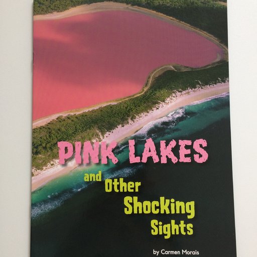 Pink Lakes and Other Shocking Sights