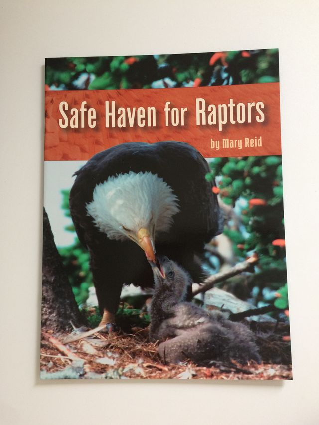 Safe Haven for Raptors