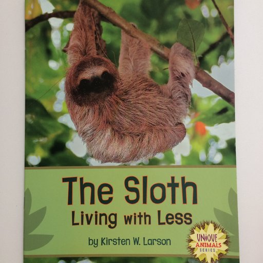 The Sloth: Living with Less