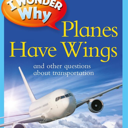 I Wonder Why Planes Have Wings: And Other Questions About Transportation