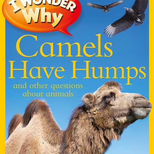 I Wonder Why Camels Have Humps: And Other Questions About Animals