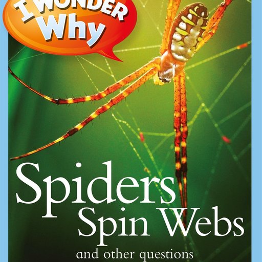 I Wonder Why Spiders Spin Webs: And Other Questions About Creepy Crawlies