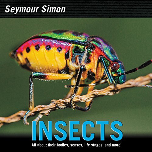 INSECTS: all about their bodies,senses, life stages, and more!