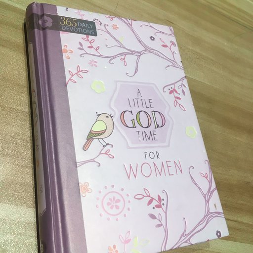 365 Daily Devotions: A Little GOD Time For Women