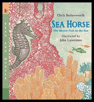 Sea Horse: The Shyest Fish in the Sea