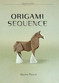 Origami Sequence